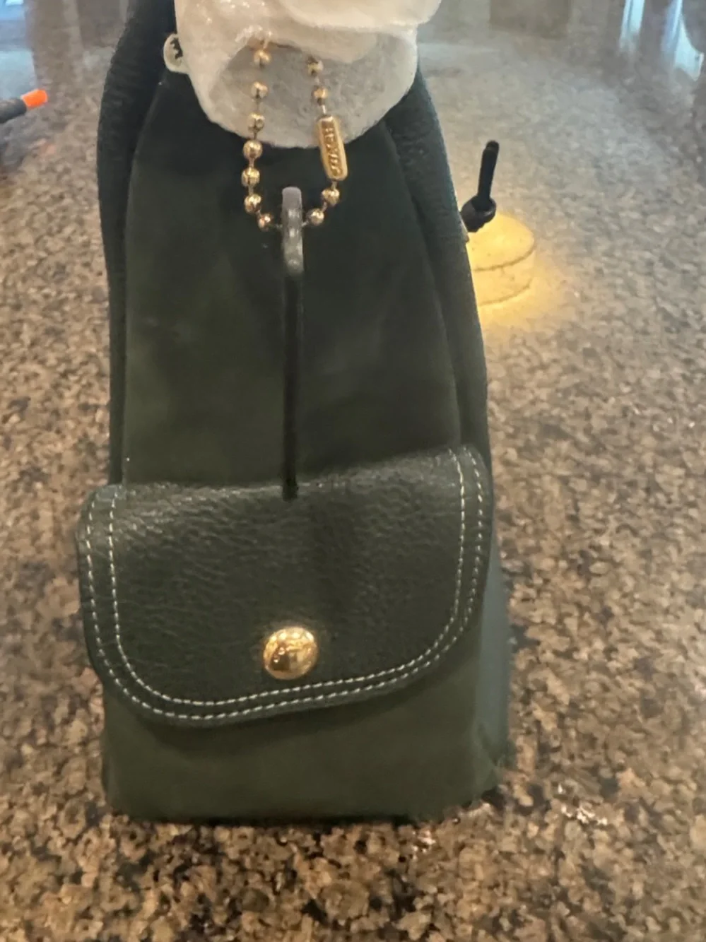 Coach Pebbled Leather Backpack in Dark Green with Gold Hardware